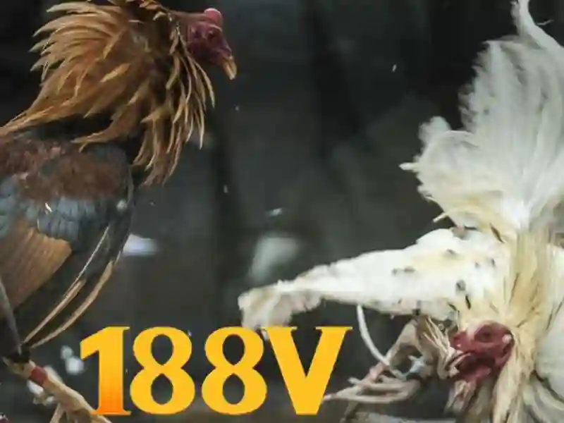  game SLOT - 188V - bubblebetty.com